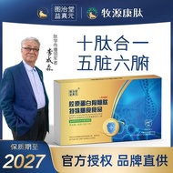 Small molecule active peptides Sea cucumber Oyster Ginseng Peptide Bovine Marrow Peptide Collagen Co