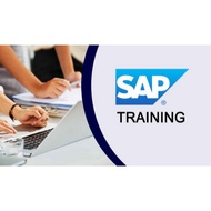 SAP ERP - 250GB content