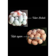 Duck Egg And Chicken Egg Toy