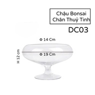 Chậu Thuỷ Tinh Nuôi Cá Trồng Cây Để Bàn Bonsai Chân DC03 - Bể Cá Thuỷ Tinh Đế Chân D14 Cm