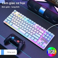 Bàn Phím Chơi Game 87 Phím Có Dây Có Đèn Nền Chiếu Sáng Đầy Màu Sắc Bàn Phím Máy Tính K87 Di Động Ha