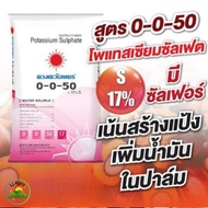 (ยกกระสอบ25kg)แม่ปุ๋ย 0-0-50 โพแทสเซียมซัลเฟต ช่วยเพิ่มขนาดผล ขยายผล ปุ๋ยเกล็ด ปุ๋ยไฮโดรโปนิกส์ ดวงต