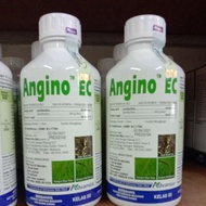 1Liter ANGINO EC ADVANSIA / Sofit / Padi Angin