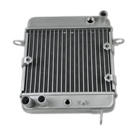 Motorcycle Radiator For Honda NSS250 NSS250A NSS250S Reflex NSS250AS SAC 2001-2007 New Aluminium Coo