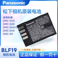 Panasonic Camera DMW-BLF19 Original Battery DMC-GH3 GH5 GH5S GH4 G9 Charger