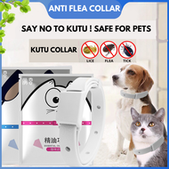 Pet Anti Flea Collar Prevention Disperse fleas Cat dog flea remover collar Kolar Ubat Kutu Kucing