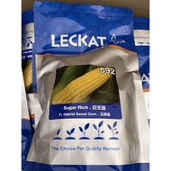 LECKAT 592 JAGUNG SWEET CORN JAGUNG MANIS玉蜀黍