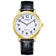 Citizen Collection Watch BJ6541-58P Eco-Drive