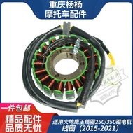 Suitable for Earth Eagle King DD250G-2N/2 DD250E-9A DD350-18 Grade Magnetic Motor Coil Stator