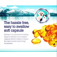 Salmon oil for cat / dog (fish oil)