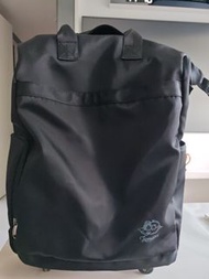 Professional 旅行拉桿包