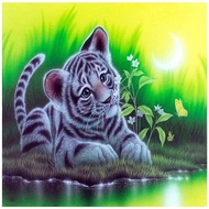 DIY Diamond Painting Full white tiger child 40x30 cm D927