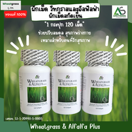 (4 กระปุก ) ผลิตภัณฑ์เสริมอาหารวีทกราส อัลฟาลฟา พลัส ผักอัดเม็ดของแท้ สูตรดั้งเดิม 🥙 จากบริษัทแอมสตร