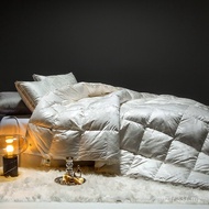 Winter Quilt Warm White Velvet Velvet Duvet Air Conditioning Duvet Core Mute Thickened 95 Spring Aut
