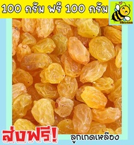 ส่งฟรี!! ซื้อ 1 ฟรี 1 ลูกเกดสีทอง พร้อมทาน เกรด A Golden Raisins คุณภาพดี (ขนาด 100กรัม ฟรี 100กรัม) ไม่มีส่วนผสมของน้ำตาล เหมาะสำหรับทุกวัย Premium Quality Products ลูกเกดสีเหลือง ลูกเกดเหลือง เกดเหลือง  ลูกเกดทอง