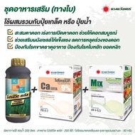 ชุดสะสมอาหาร บำรุงใบ ผล ดอก ทุเรียน โปรซีวีดพลัส สาหร่าย (1 ลิตร) + แคลเซียม คีเลต (1 กก.) + จุลธาตุ