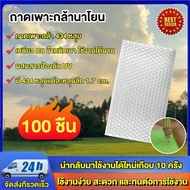 ถาดเพาะกล้านาโยน มี 434 หลุม (Seedling tray) มีให้เลือก 10-700 ชิ้น ถาดนาโยน ถาดเพาะนาโยน กล้านาโยน 