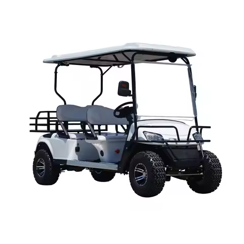On sale Factory custom high quality low speed golf cart with wheels and tires