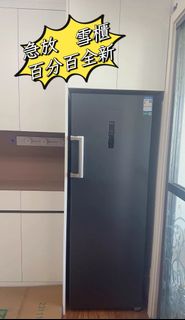 100%新 單門雪櫃 風冷無霜 雙變頻家用 小型櫃桶式雪櫃  冷凍冰櫃 立式冷凍櫃 單門雪櫃送貨上門