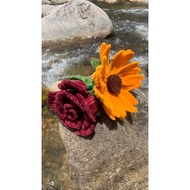 giant flower chamomile