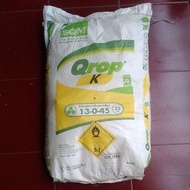 Pupuk KNO3 putih 25 kg kemasan pabrik