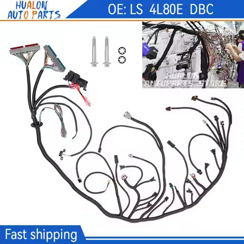 LS Engine Stand Alone Wiring Harness 4L80E Compatible with GM DBC LS1 Vortec 4.8L 5.3L 6.0L Engine 1