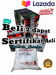 Benih Kecambah kelapa Sawit merk DxP SRIWIJAYA5 Semiklon ( kapas ) Kualitas Unggul isi 250 butir kua