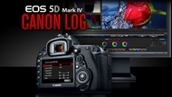 Canon 5D Mark IV 升級 C-Log