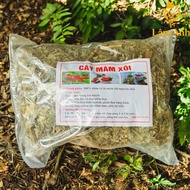 1Kg Wild Raspberry (Golden Star Ha Tho) Thickens Mucous membranes, nourishes eggs, beautifies skin, 