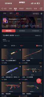 VALORANT 帳號 靚 skin