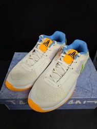 NIKE JA1  請睇內容