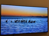 LG OLED 48 “C1 PCB 4K
