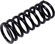 A500 A518 A618 42RE 42RH 44RE 46RE 46RH 47RE 47RH 48RE Transmission 3-4 Accumulator Spring 12861-01 