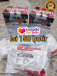 benih bibit kecambah sawit DxP SRIWIJAYA SJ5 isi 150 Butir