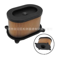 Suitable for Korea Hyosung Hyosung GT250R 650R GV650 GT250 Air Filter Air Filter