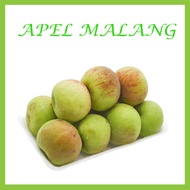 Apel Hijau Malang 1 Kg ASLI