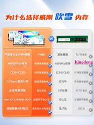 威剛華碩吹雪DDR5桌機記憶體6000/6400/7200 16G/32G/64G燈條