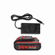 Universal 36V/42V Lithium Battery Charger