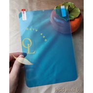 Paperlike Screen Protector for Ipad mini 6 Ipad 10 10.9 Ipad 11 2025 Ipad air 4 Ipad air 5 10.9 Ipad