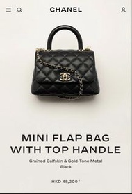 Chanel Mini Flap Bag with Top Handle