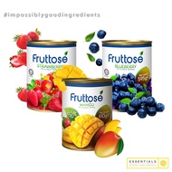 FRUTTOSE Fruit Filling | Mango | Strawberry | Blueberry
