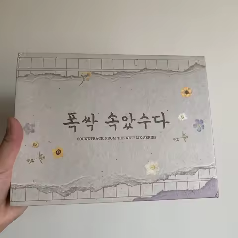 When Life Gives You Tangerines IU Park Bo Gum CD OST K-Drama Autographed 2025