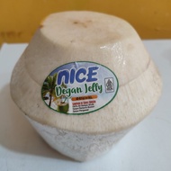 Kelapa Puding Jelly Nice Degan Jelly Original