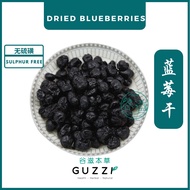 Dried Blueberries 蓝莓干 Blueberry Dried Blueberry Snack Fruit Snack
