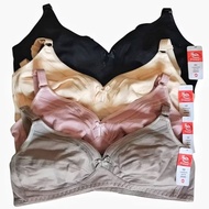 Elena Thin Foam Bra Without Wire 2744 Size 36C-42C