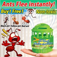 Buy 1 Free 1 GN Ants repellent Plant extracts, safe for humans and pets  Ant killer gel Ant gel kill