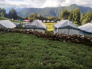 Buzz Eco Camps Chopta