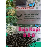 BAJA KOPI ORGANIK 888