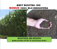 Bibit Rumput Biovitas BB Biogen 1kg Bonus benih indigofera