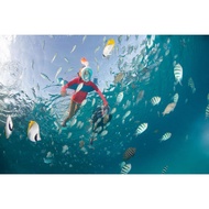 Snorkel 100 subea navy float